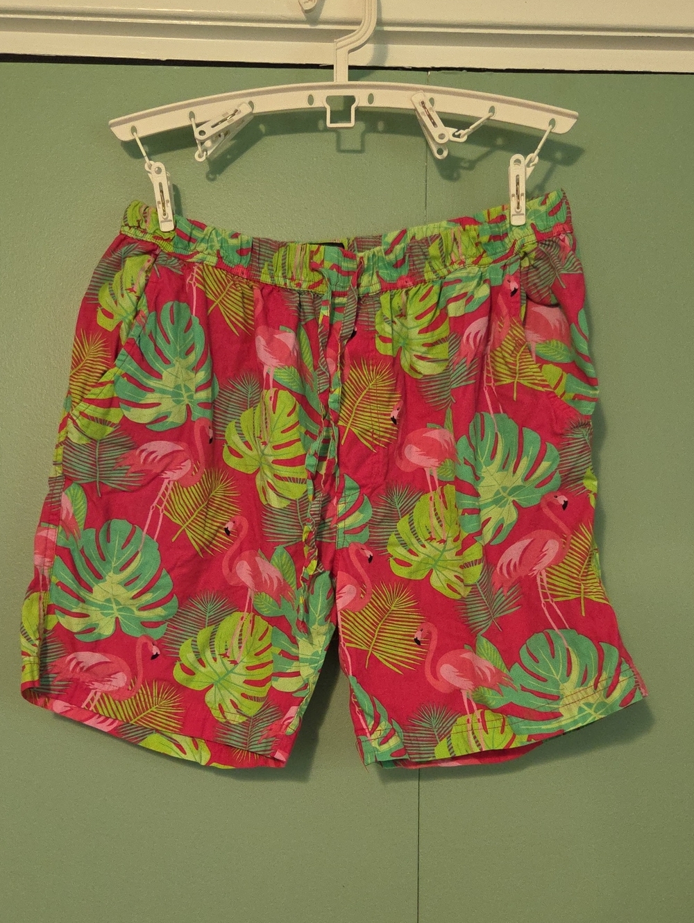 Massive Men's Tropical Flamingo Swim Shorts Pink And Green Size Large